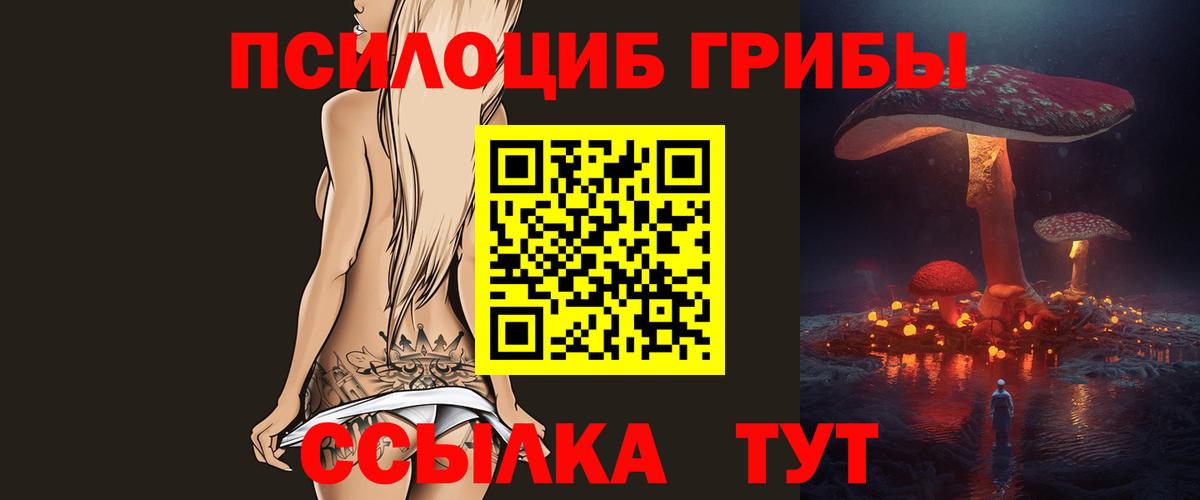 Нефтекамск  купить   Вход с VPN  Псилоцибиновые грибы Psilocybe 